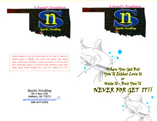 Sparks Noodling Flyer