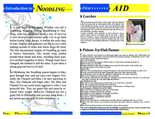 Introduction to Noodling